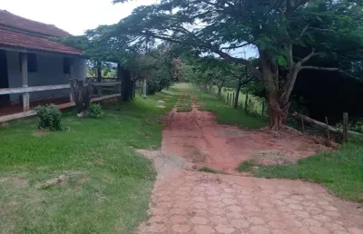 Sítio 5 alqueires nobre,otima localização,muitas benfeitorias,casa simples,chalé 1 wc,dorms,cozinha,rico em agua,muito verde,1,5 km do asfalto