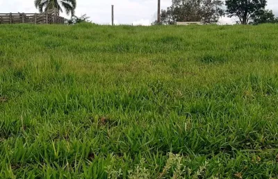 Sítio 5,7 alqueires frente asfalto,localização top,terra fertil,muito boa,ótimo para plantação,gado,granjas