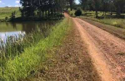 Porteira fechada (área 53.00 alqueires) no município de são joão da boa vista sp. ? 120.000 pés de café 100% mecanizavel ( tratos culturais e colheit