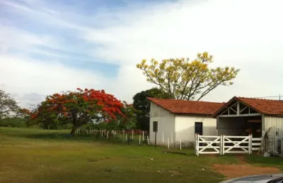 Excelente fazenda a venda na pecuária na região de presidente prudente - sp ??   área total: 390 alqueires   aptidão: pecuária   em pastagem: 275 alqueires  restante: app, reserva e água   solo: argil