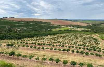 Fazenda de café, na região de  capitólio  207 hectares -altitude acima de 900 , com 400 mil pés de café toda mecanizada, sendo 280 mil pés de lavouras com 2 anos ,120 mil pés  lavouras 3 anos 1/5 em p