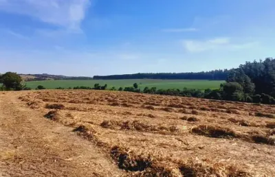 Sitio 5 alqueire em boituva a 4 km da cidade ,rio no  fundo  excelente topografia  foi plantado cana  valor 2.000,000,00