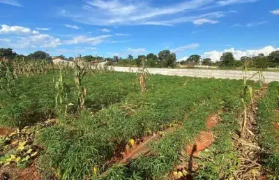 Terreno à venda na Área Rural de Patos de Minas, Patos de Minas 