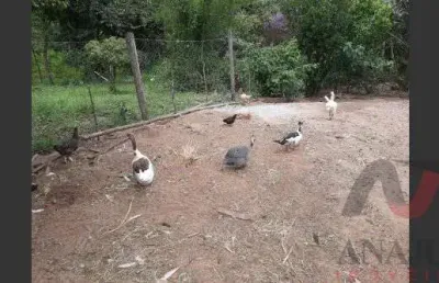 Fazenda à venda no Centro, Tambaú 