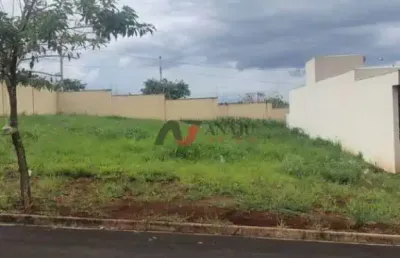 Terreno padrão (rua) reserva san pedro, ribeirão preto - sp