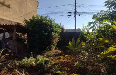 Terreno padrão (rua) jardim maria goretti, ribeirão preto - sp