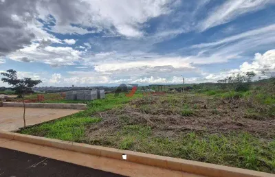 Terreno padrão (rua) vilas do mirante, ribeirão preto - sp