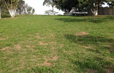 Terreno comercial à venda na vila guilherme, santa isabel-sp: 2.800m² de oportunidade imperdível!