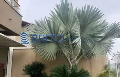 Casa com 3 quartos à venda na Avenida do Arvoredo, Cadiz, Gravataí
