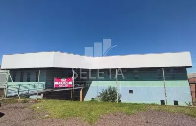Barracão para locação às margens br 369 sentido corbélia
