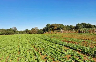 Área à venda, 124200 m² por r$ 8.200.000,00 - itajacuru - colombo/pr