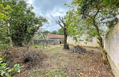 Terreno à venda, 444 m² por r$ 999.000,00 - centro - pinhais/pr