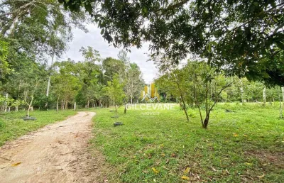 Área à venda, 187800 m² por r$ 4.800.000,00 - cerro azul - cerro azul/pr