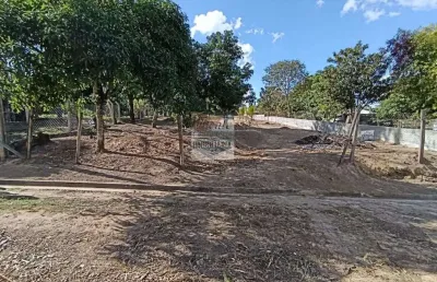 Chácara de 1000 m² á venda em artur nogueira, ao lado de holambra-sp