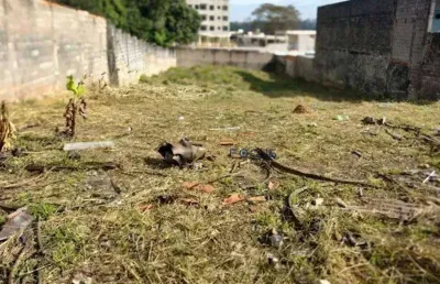 Terreno à venda, 980 m² por r$ 1.235.000 - colônia - jundiaí/sp - focus gestão imobiliária