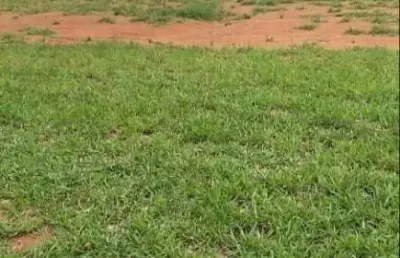 Terreno em condomínio à venda, taquaral - piracicaba/sp