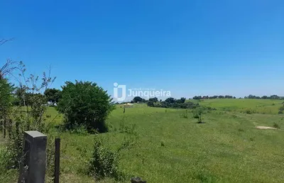 Terreno comercial para alugar no Nova Suiça, Piracicaba 