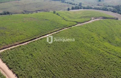 Terreno à venda no Paraisolândia, Charqueada 