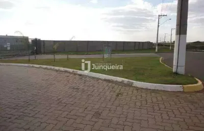 Terreno em condomínio para aluguel, loteamento industrial palmeiras - rio das pedras/sp