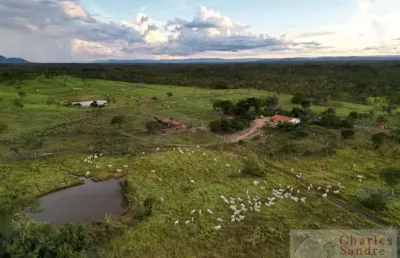 Fazenda para venda em paranã, zona rural, 4 dormitórios, 1 suíte, 2 banheiros, 2 vagas