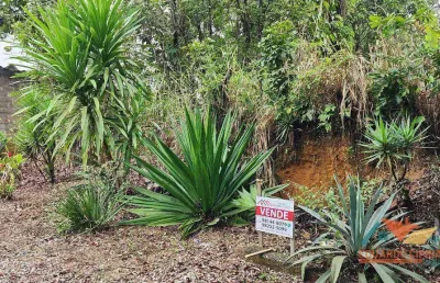 Terreno à venda, 300 m² por r$ 300.000,00 - massaguaçu - caraguatatuba/sp