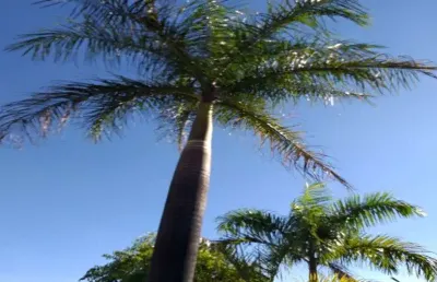 Terreno à venda na rua josé joaquim dos santos, copacabana, belo horizonte por r$ 475.000