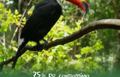 Casa em condomínio fechado com 3 quartos à venda na rua jair ferreira de sá, garças, belo horizonte por r$ 2.075.000