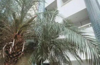 Apartamento modernizado em moema pássaros, com 2 dormitórios, sendo 1 suíte, e 2 vagas de garagem
