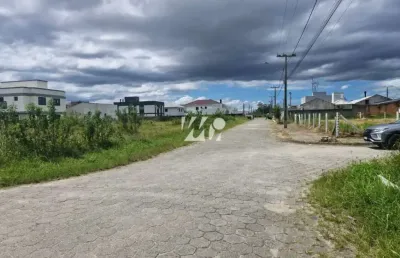 Terreno à venda na Rua Luiza Amaro da Silva, 1, Guarda do Cubatão, Palhoça