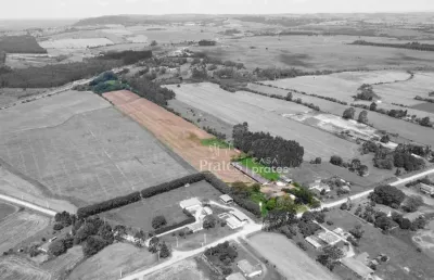 Terreno à venda na Geral Fernheim - Aldeia, 2, Colonia Witmarsum, Palmeira