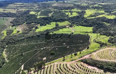 Fazenda de café com 126,32 hectares à venda por r$ 12.000.000,00 - monte santo de minas/mg