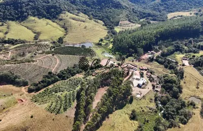 Fazenda com 188ha à venda porteira fechada por r$ 12.000.000,00 - monte santo de minas/mg
