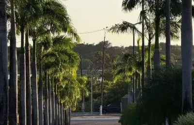 Lote à venda em ponta negra (natal/rn) | ponta negra boulevard | 420m²