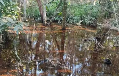 Chácara / sítio com 2 quartos à venda na Zona Rural, Jaraguari 