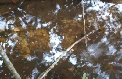 Chácara / sítio com 3 quartos à venda na Rua Orlando Nogueira, Zona Rural, Jaraguari