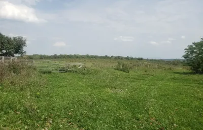 Fazenda com 2 salas à venda na Zona Rural, Ribas do Rio Pardo 
