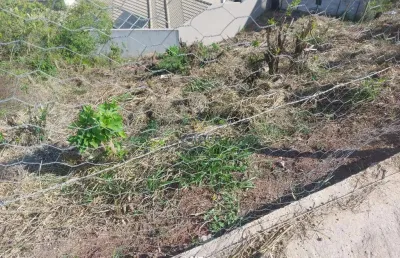 Lote no bairro arcádia por r$130.000,00  -  conselheiro lafaiete