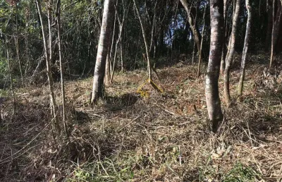 Terreno à venda, 1375 m² - jardim cinco lagos - mairiporã/sp