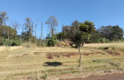 Terreno à venda na Rua Tranquilo Morgon, Jardim São Basílio, Maringá