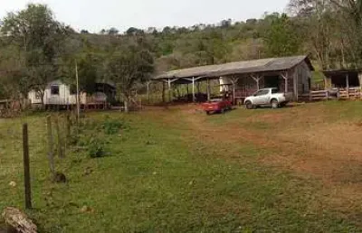 Fazenda à venda, 28,5 alqueires, pinhal grande, laranjal/pr