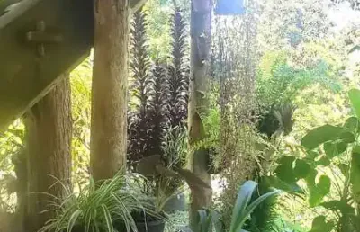 Sítio com lagoa e 35 mil m² de terreno produtivo em são joão de itaperiú -sc
