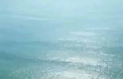 Exclusivo terreno​ 14.189,90 m2 na praia de taquaras​ com vista mar em balneário camboriú