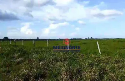Fazenda com 1 dormitório à venda, 22120000 m² por r$ 46.100.000,00 - jardim tropical - imperatriz/ma
