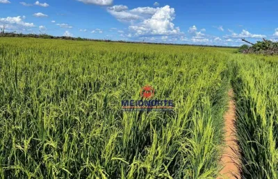 Fazenda com 1 sala à venda na ÁRea Rural, 1, Zona Rural, Anapu