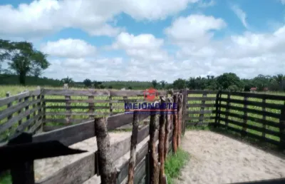 Fazenda à venda – 200 hectares em região estratégica