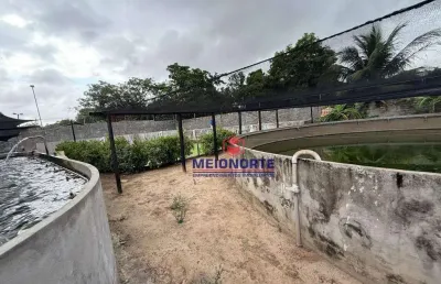 Fazenda com 1 dormitório à venda, 2600 m² por r$ 5.000.000 - vila maioba do janipapeiro - paço do lumiar/ma