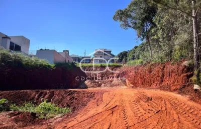 Terreno à venda na Rua Nael Nunes Rocha, 395, Estrela, Ponta Grossa