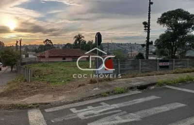 Terreno à venda na Rua Henrique Clock, 344, Orfãs, Ponta Grossa