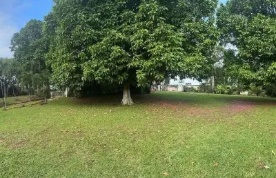 Terreno à venda na Avenida Aliomar Baleeiro, Pau da Lima, Salvador