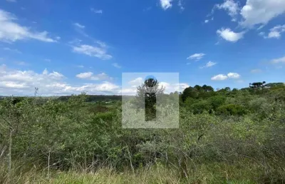 Terreno à venda, 20000 m² por r$ 700.000,00 - joaquim egídio - campinas/sp